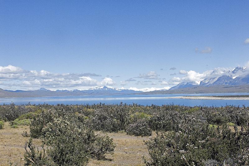 20071213 113827 D200 3900x2600 v2.jpg - Torres del Paine National Park